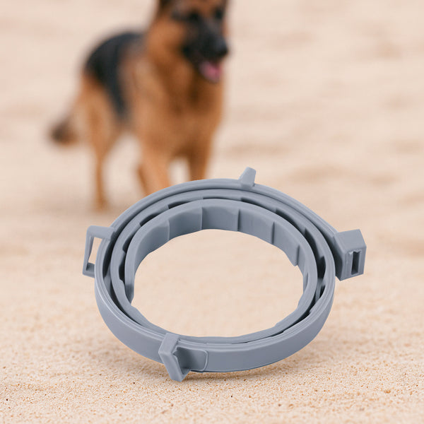 Pets Anti Flea And Mosquito Collar - Long-lasting Natural Protection for Pets