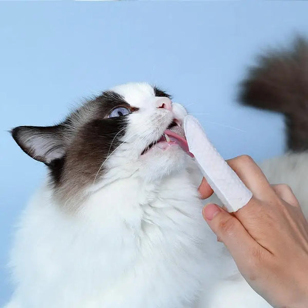 Pet Dental Cleaning Finger Wipes