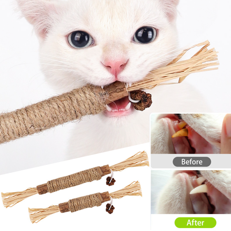 Silvervine Stick Cat Chew Toy with Gall fruit (5 PCS)