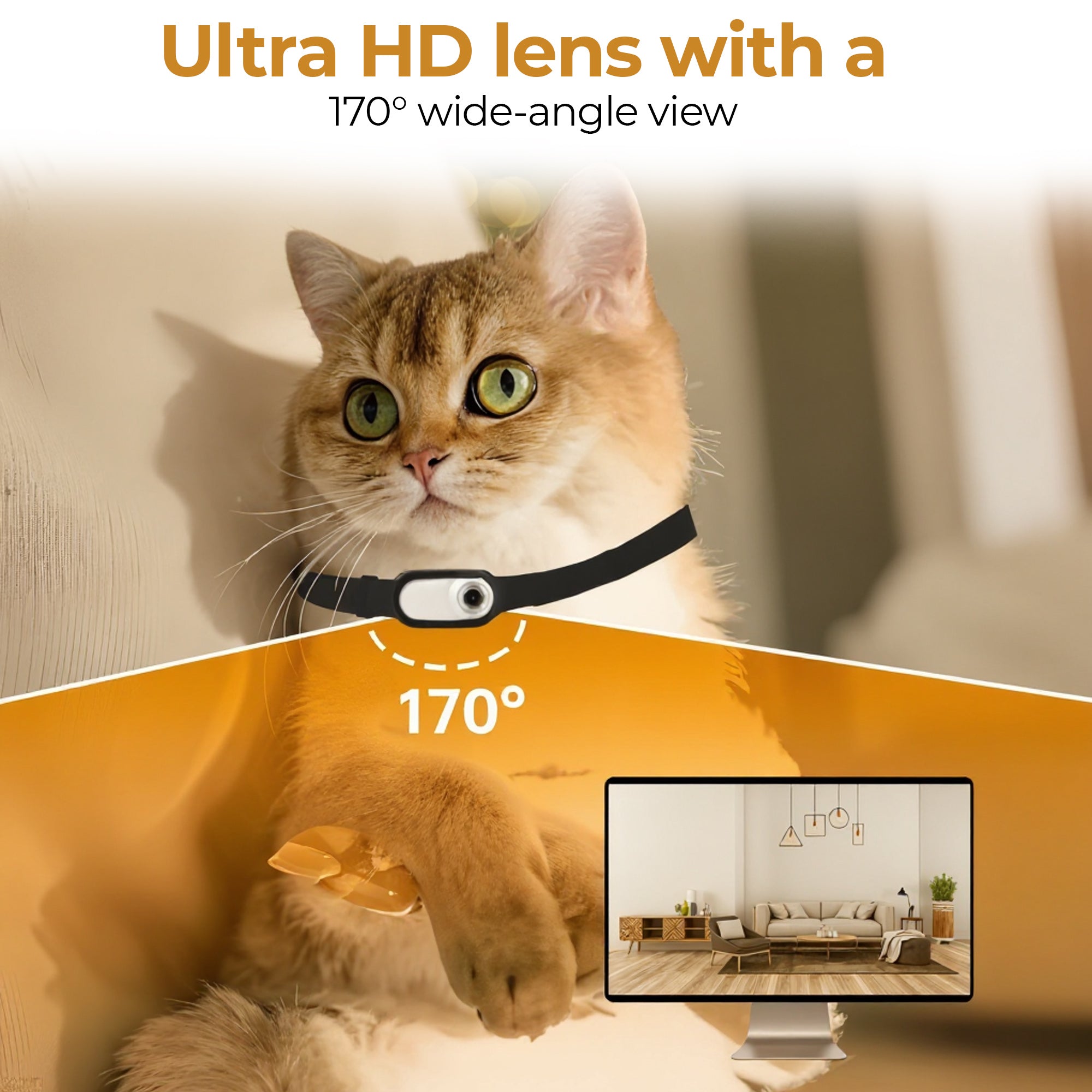 Wireless Tracking Camera Dog & Cat Collar