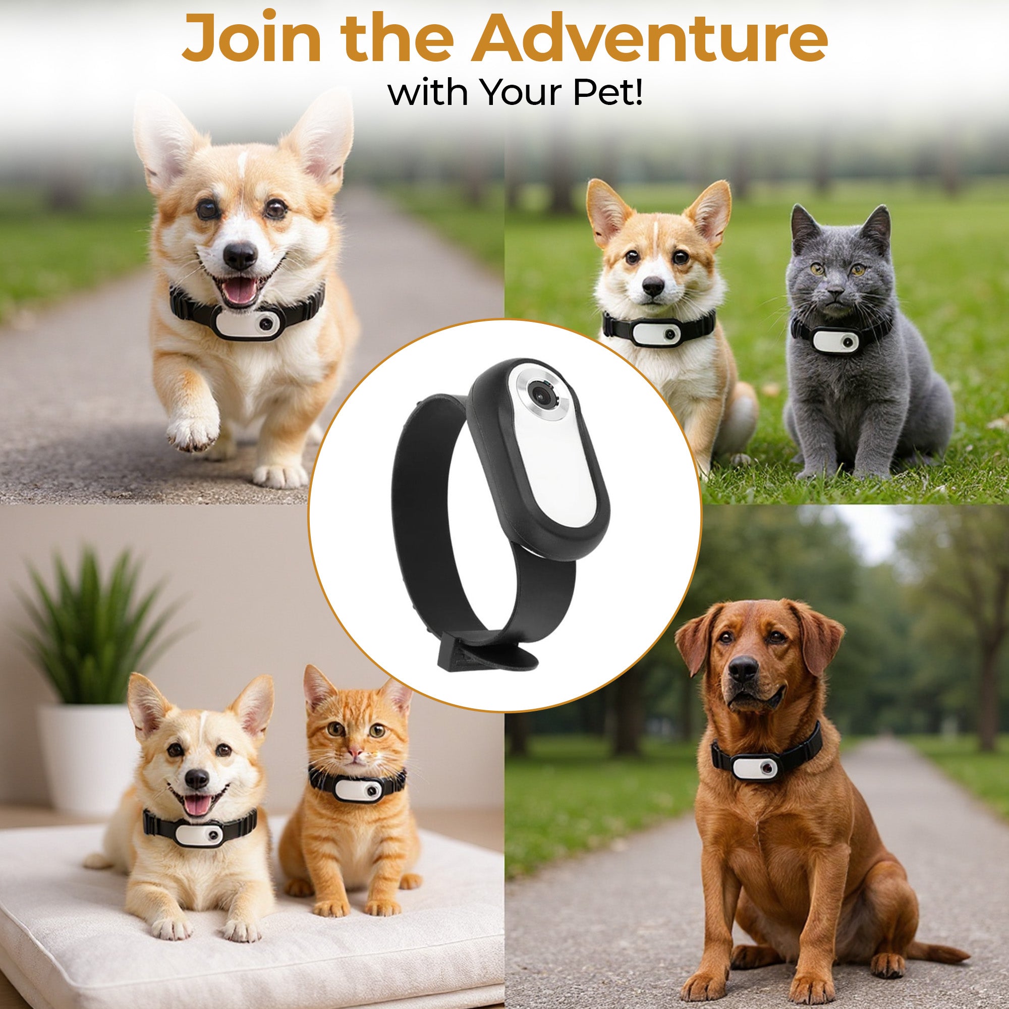 Wireless Tracking Camera Dog & Cat Collar