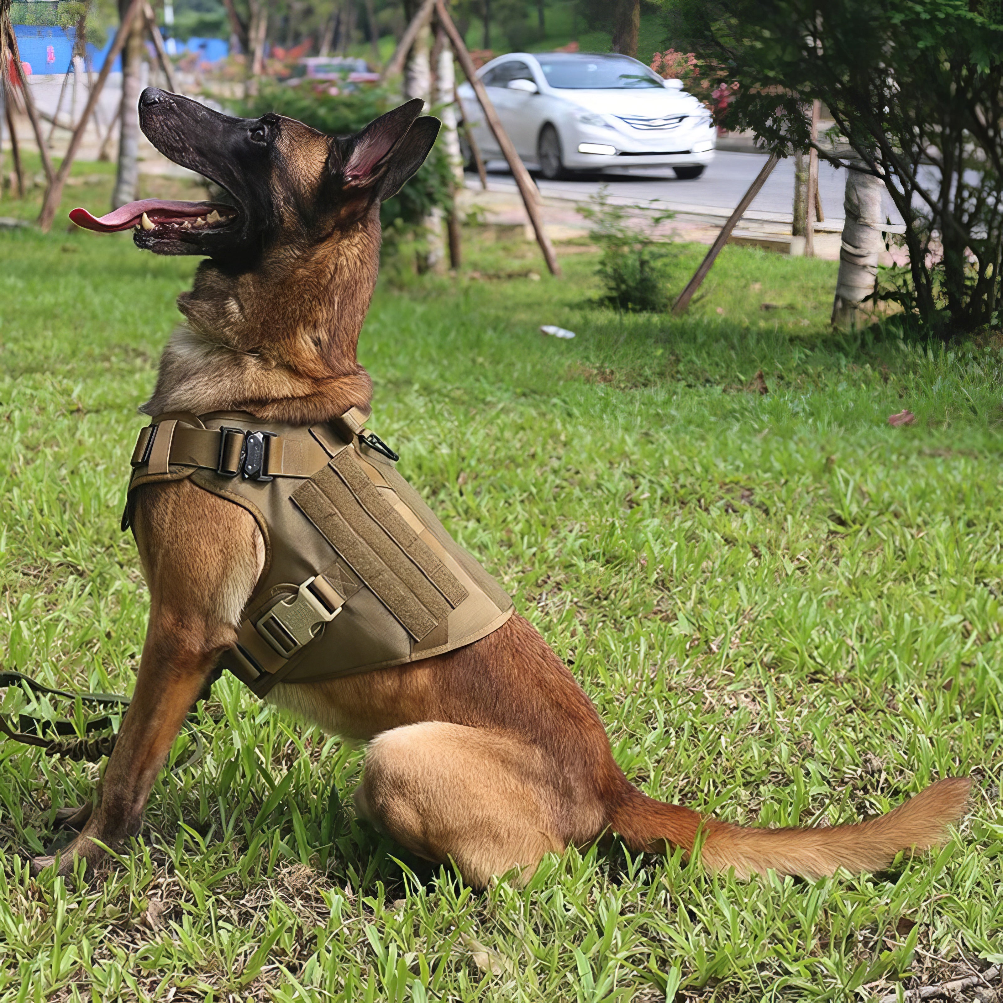 No Pull Dog Harness - Safety & Comfort for Walking Dogs