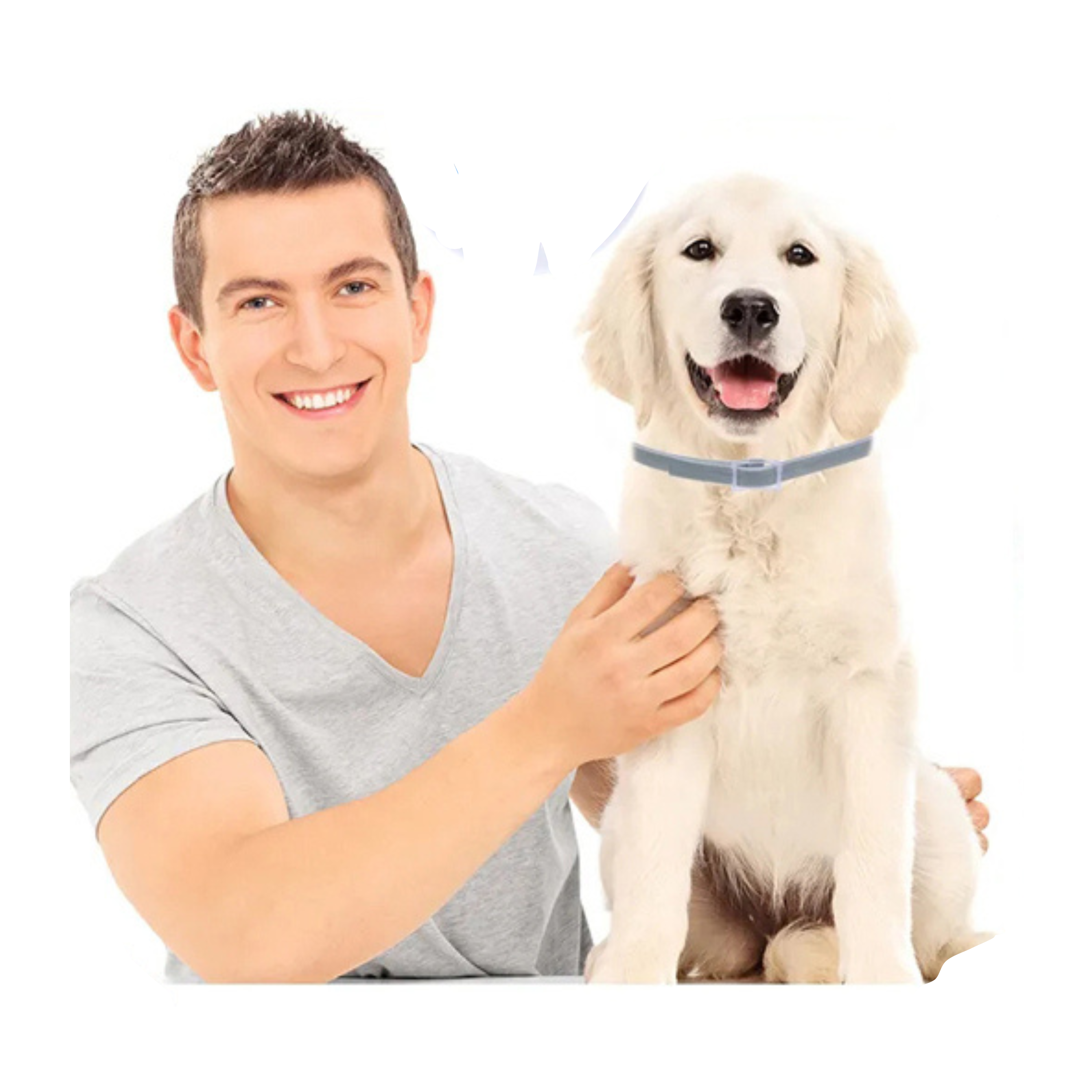 Pets Anti Flea And Mosquito Collar - Long-lasting Natural Protection for Pets