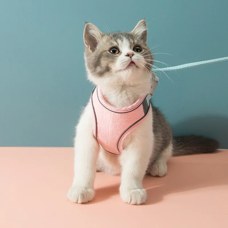 Adjustable Harness & Leash Set for Cats, Kittens and Pups - ESCAPE-PROOF & EASY TO WEAR
