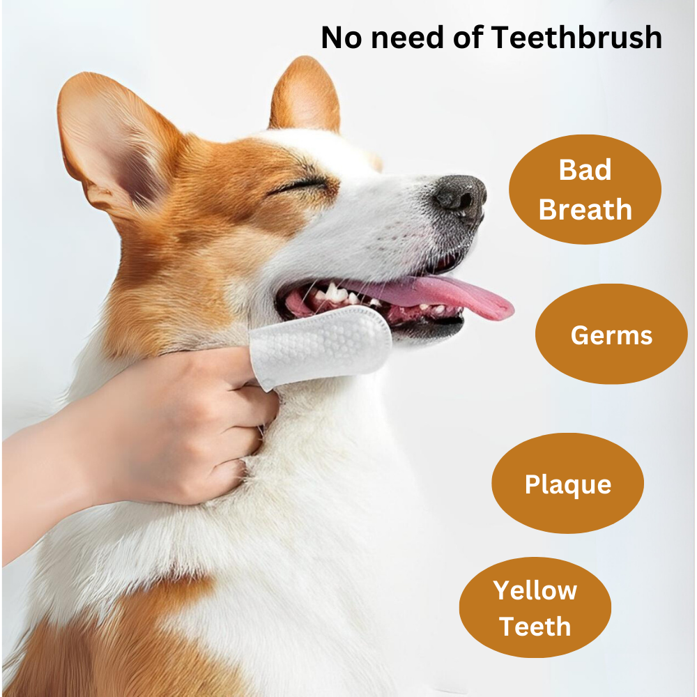 Pet Dental Cleaning Finger Wipes