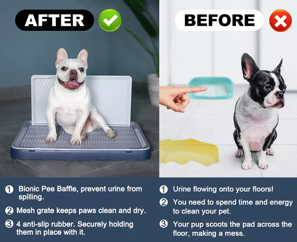 RAINING PEE PAD