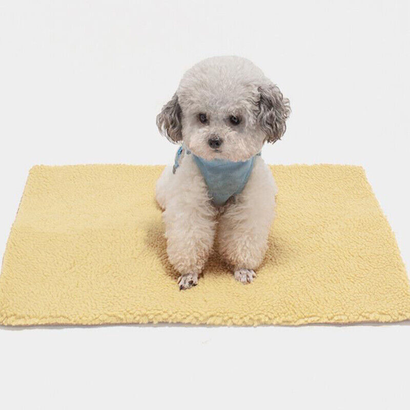 Calming Self Heating Blankets for Pets
