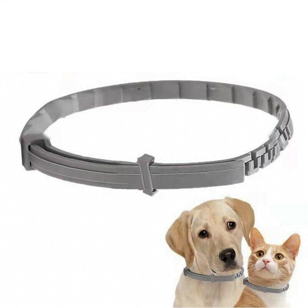 Pets Anti Flea And Mosquito Collar - Long-lasting Natural Protection for Pets