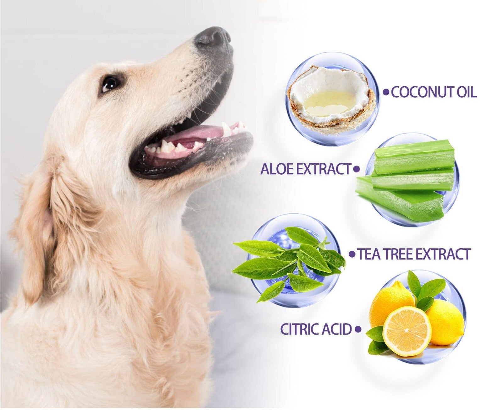 Pet Dental Cleaning Finger Wipes