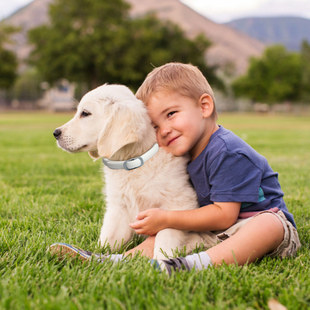 Pets Anti Flea And Mosquito Collar - Long-lasting Natural Protection for Pets