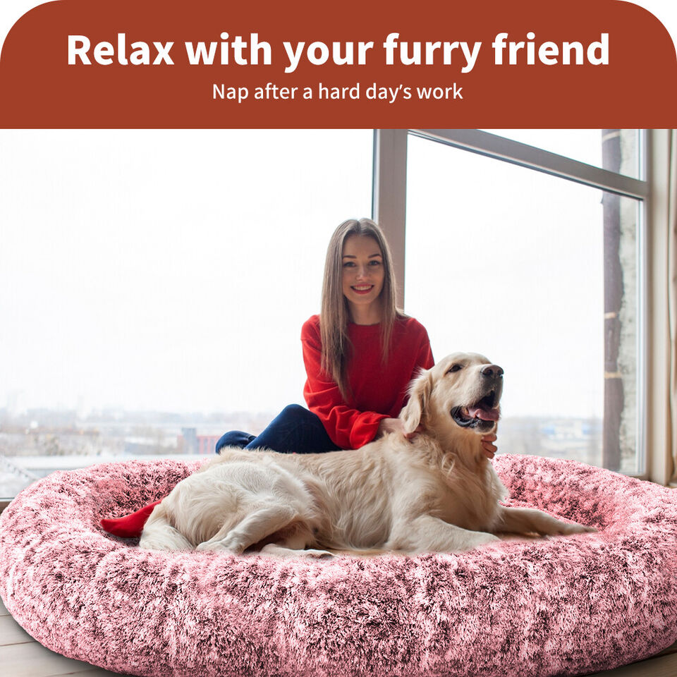 Relaxing Human size Bed - Suitable for both Human and Pets