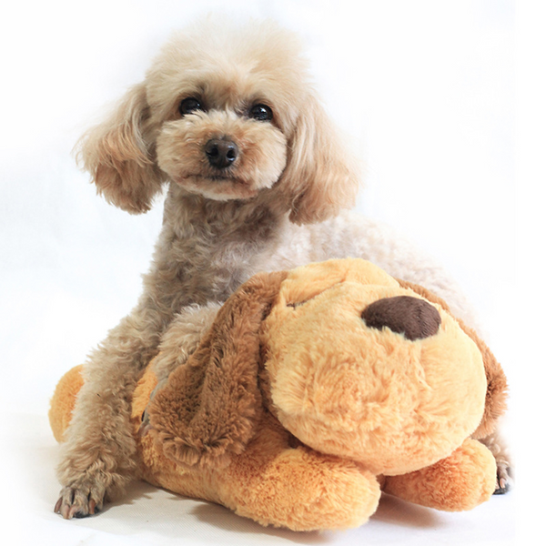 Snuggly Comfy Friend - Dogs best companion