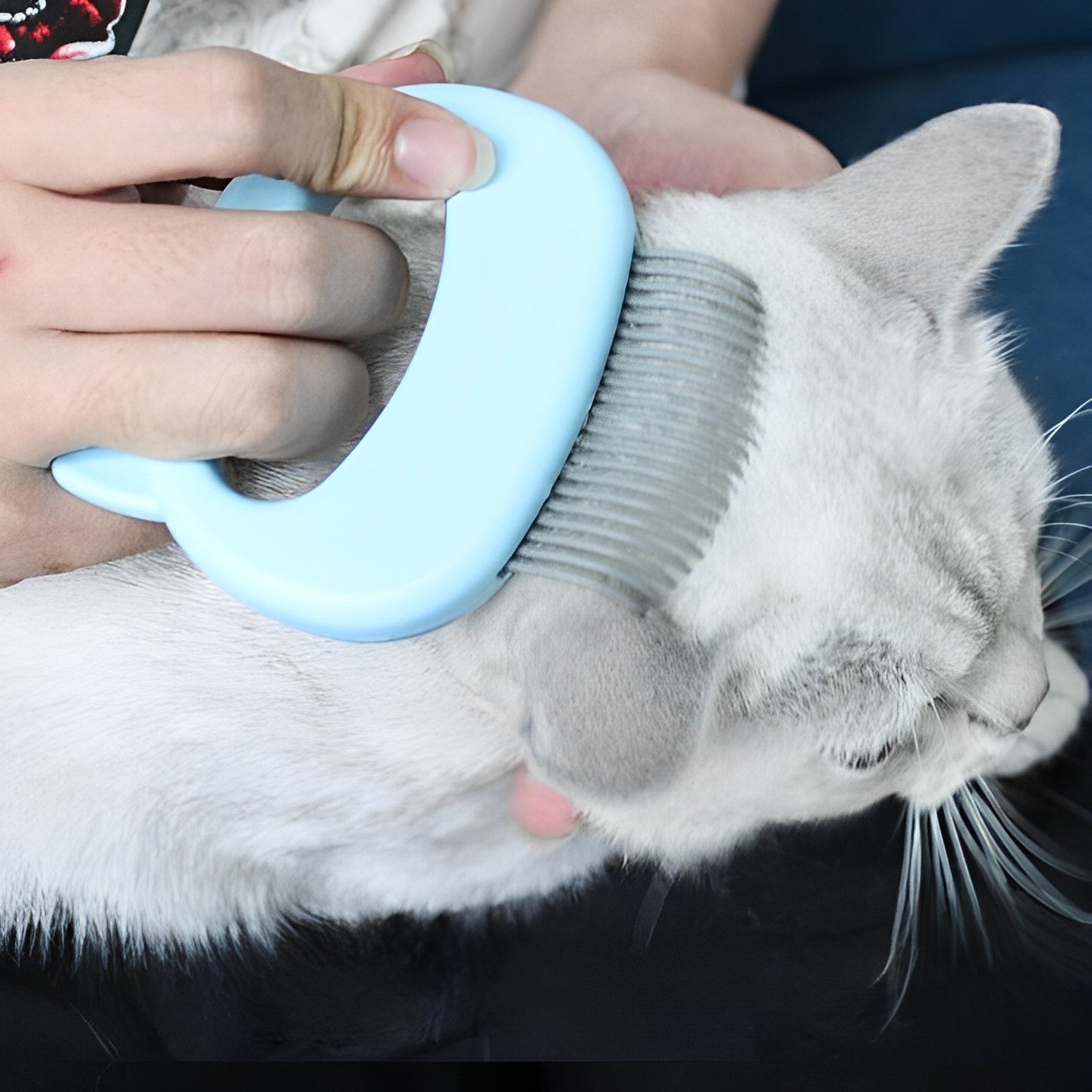 Cat Grooming Comb