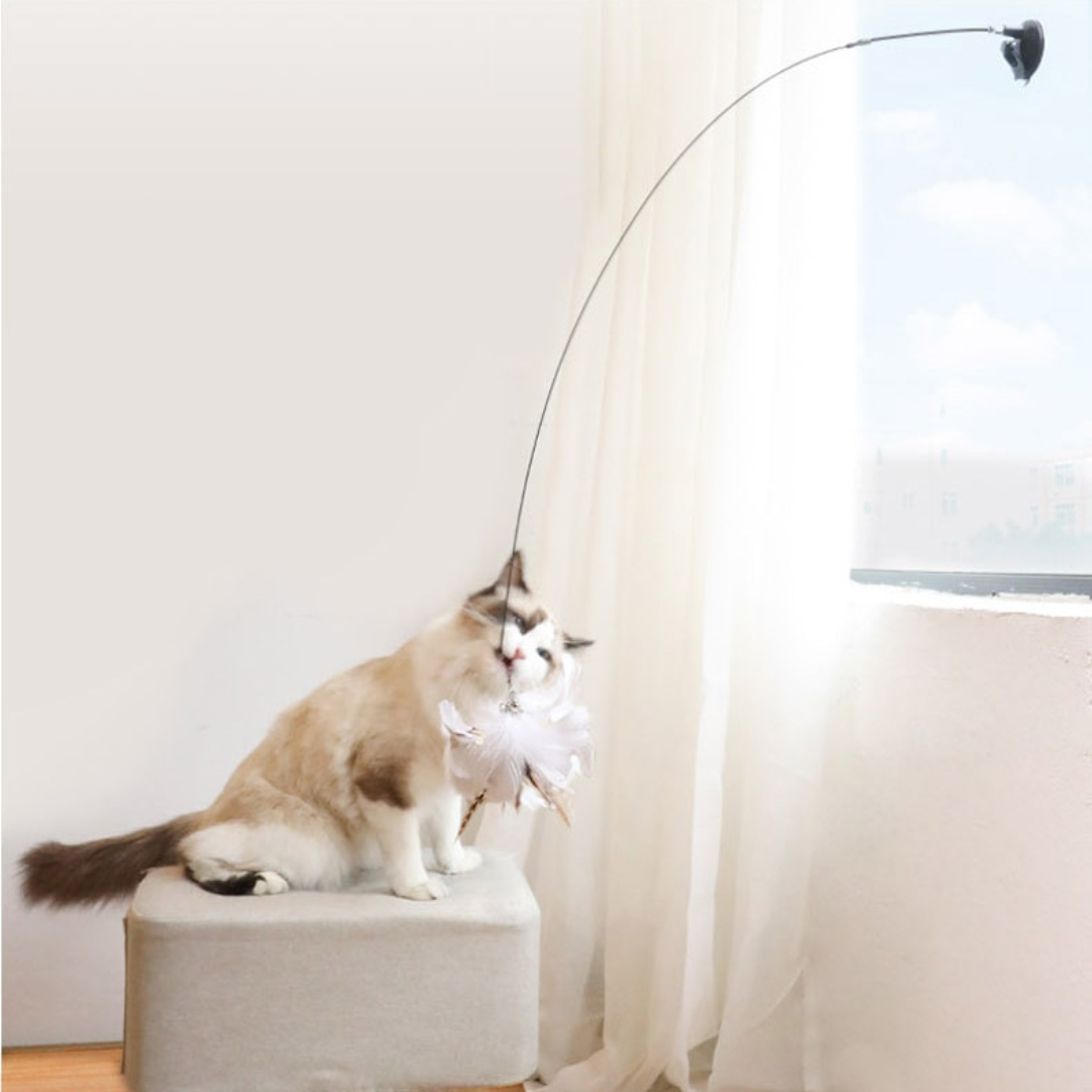 Interactive Bird Stimulation Cat Toy Set