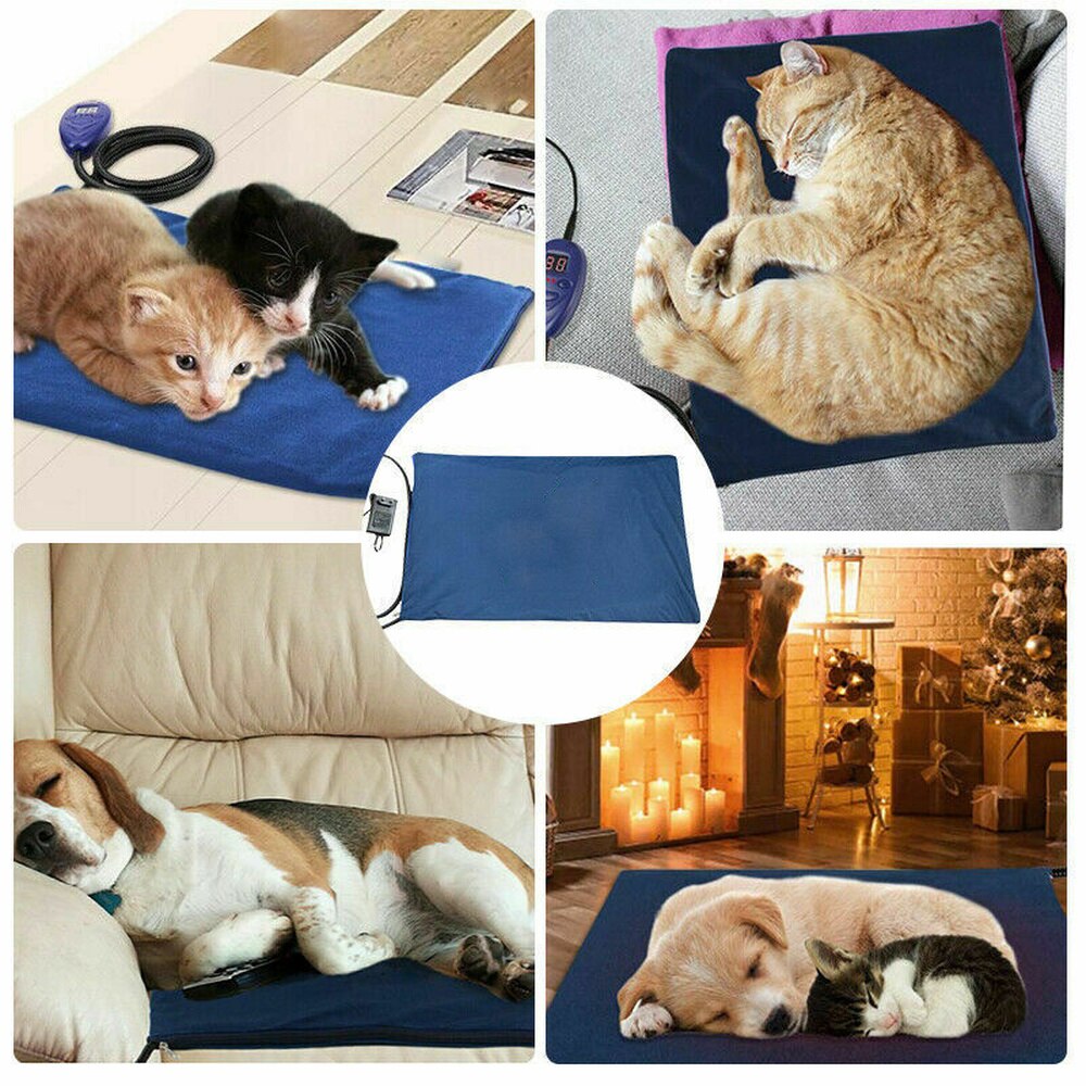 cat and dog sleeping on self heated pet bed 