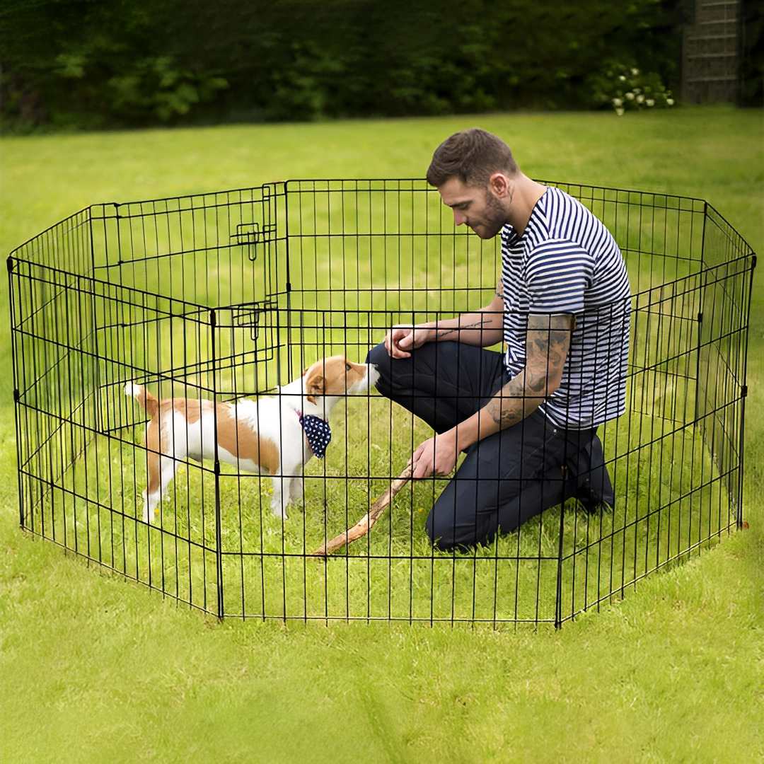 puppy in playpen 