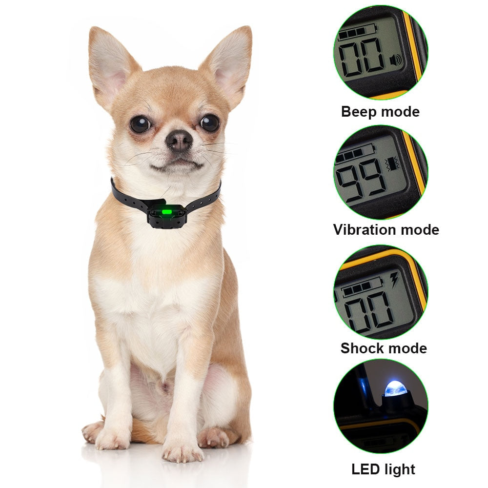 Shock collar for chihuahua hotsell
