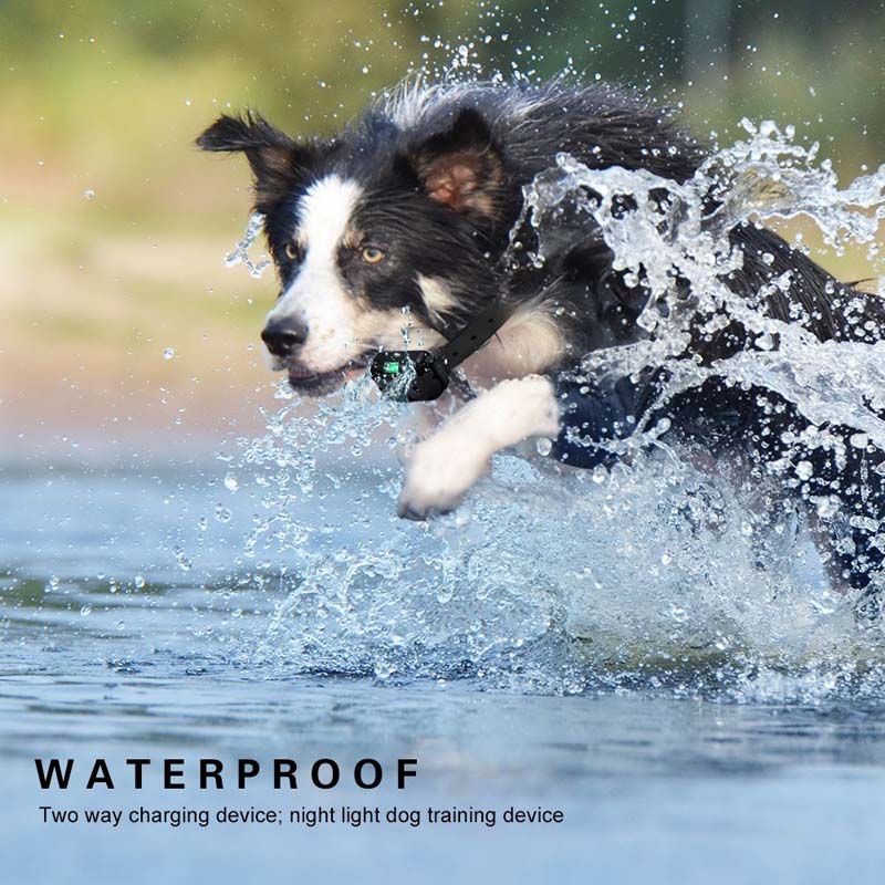 Waterproof Electric Pet Training Collar