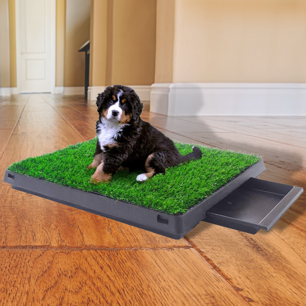 Pet Potty Grass Mat for Dogs & Cats