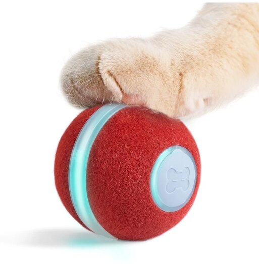 cheerble wicked ball for cats