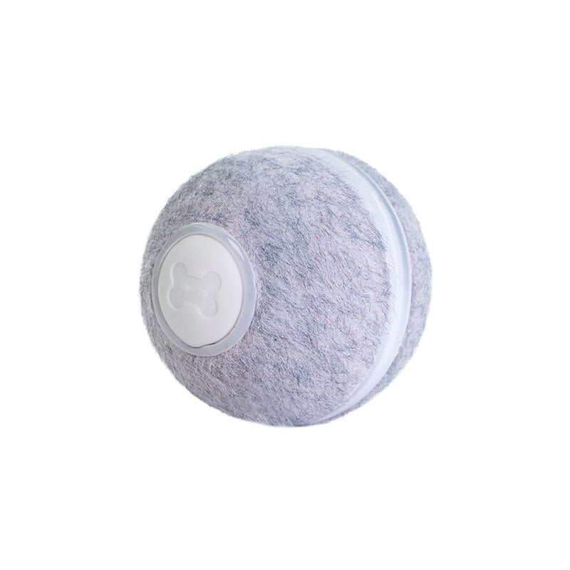 cheerble wicked ball pet toy