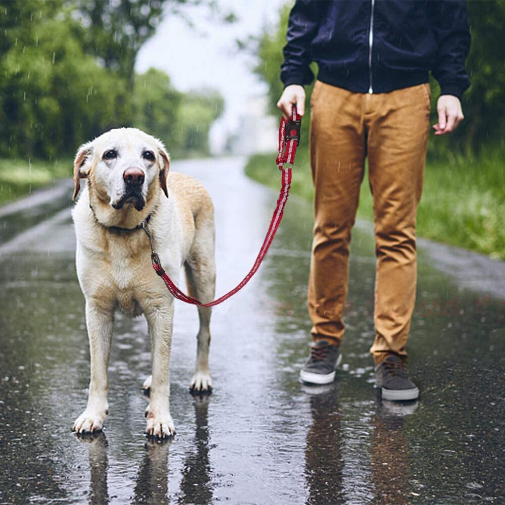 Adjustable Dog Car Leash
