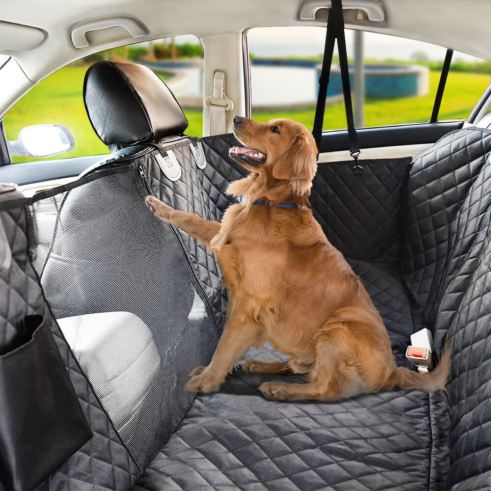 Dog sitting in Pet Car Seat Cover at back seats 