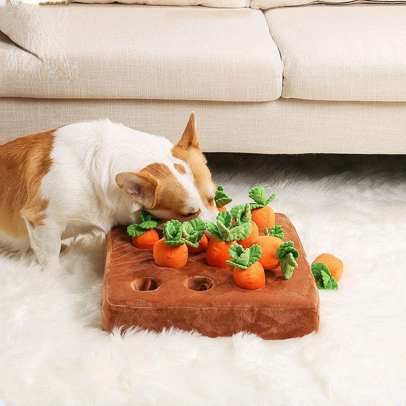 Carrot Farm Toy for Dogs & Cats