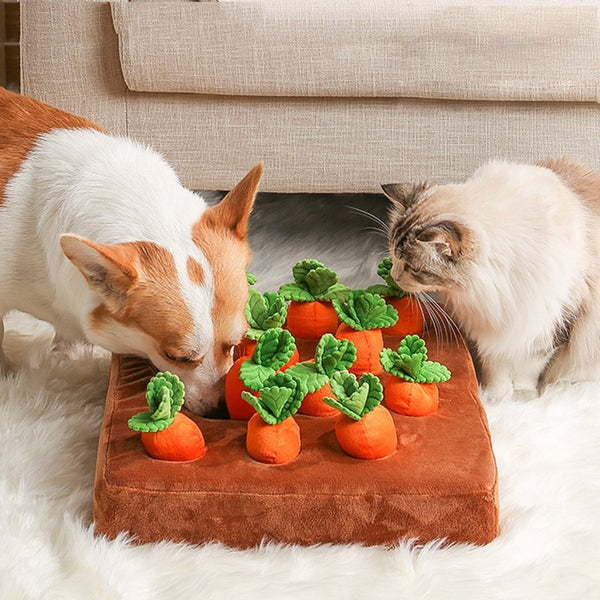 Carrot Farm Toy for Dogs & Cats