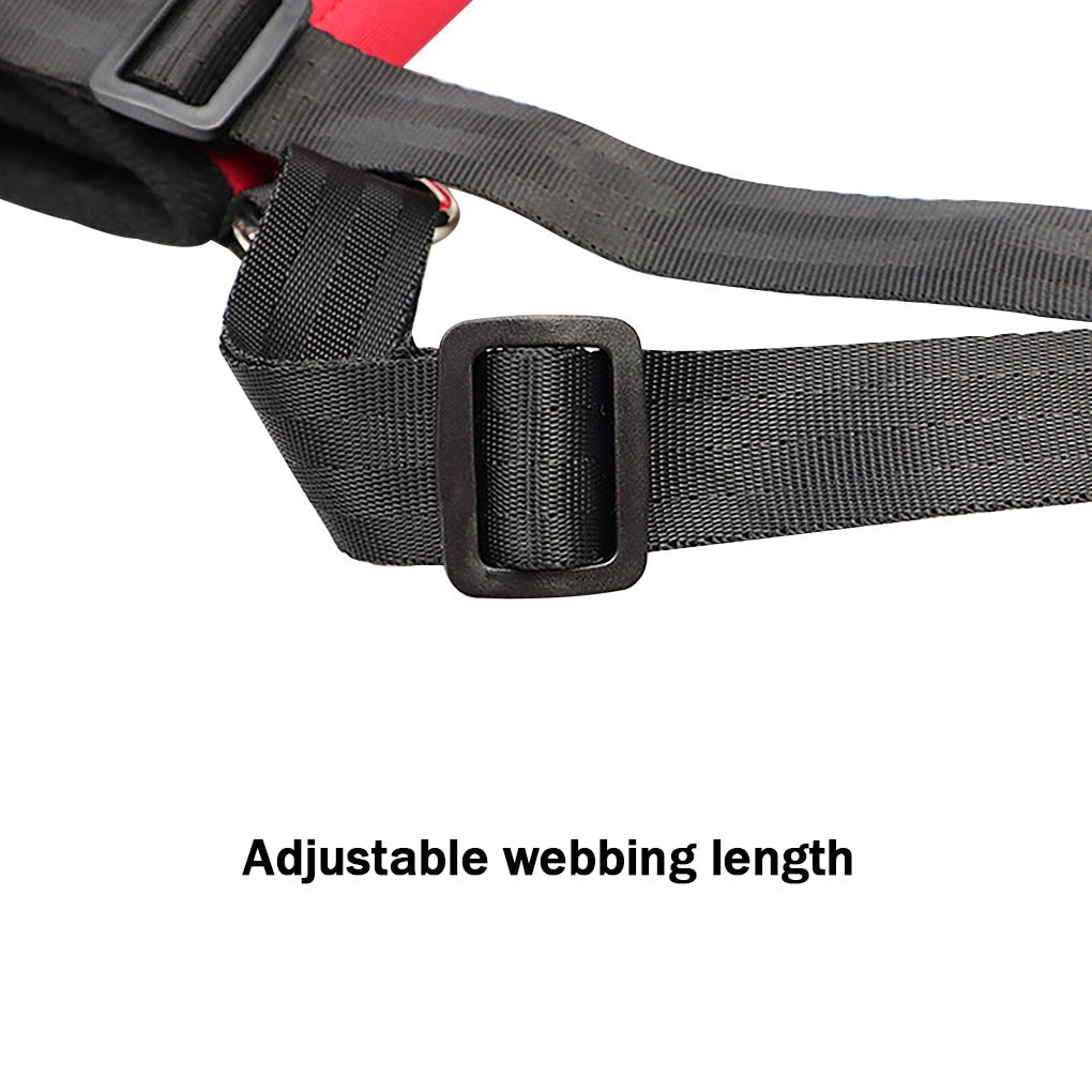 Adjustable Dog Carrying Harness
