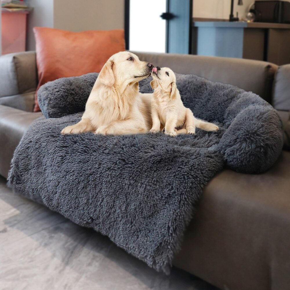 dog sitting on pet couch sofa protector cover 