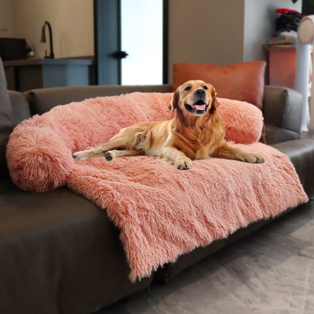 Dog Sitting On Pet Sofa Couch Cover Of Pink Color dog-sitting-on-pet-sofa-couch-cover-of-pink-color