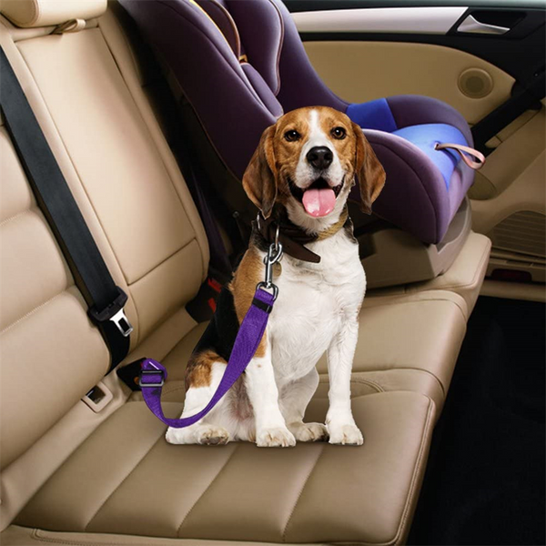 Dog Car Seat Belt - Adjustable Buffer