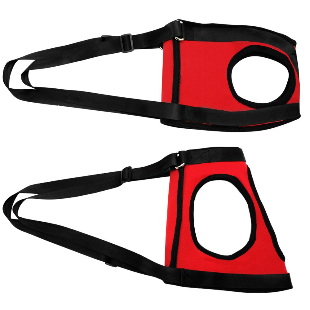 Dog online rescue sling