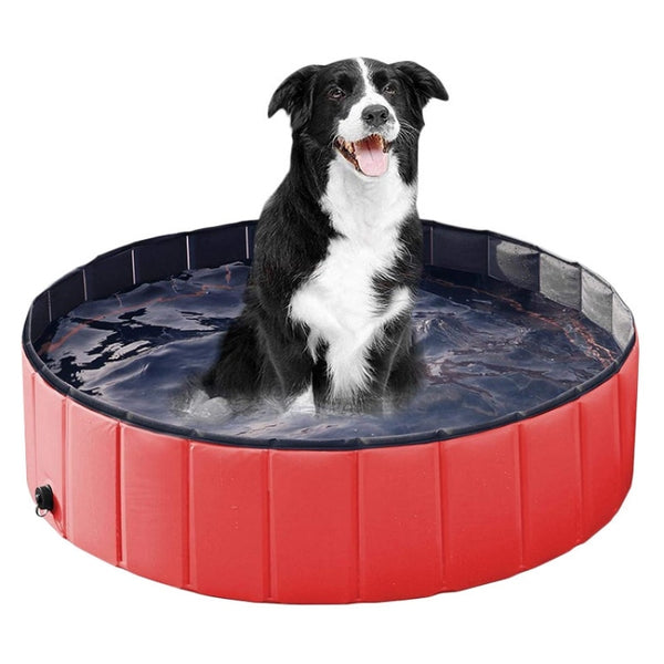 Outdoor Pet Swimming Pool