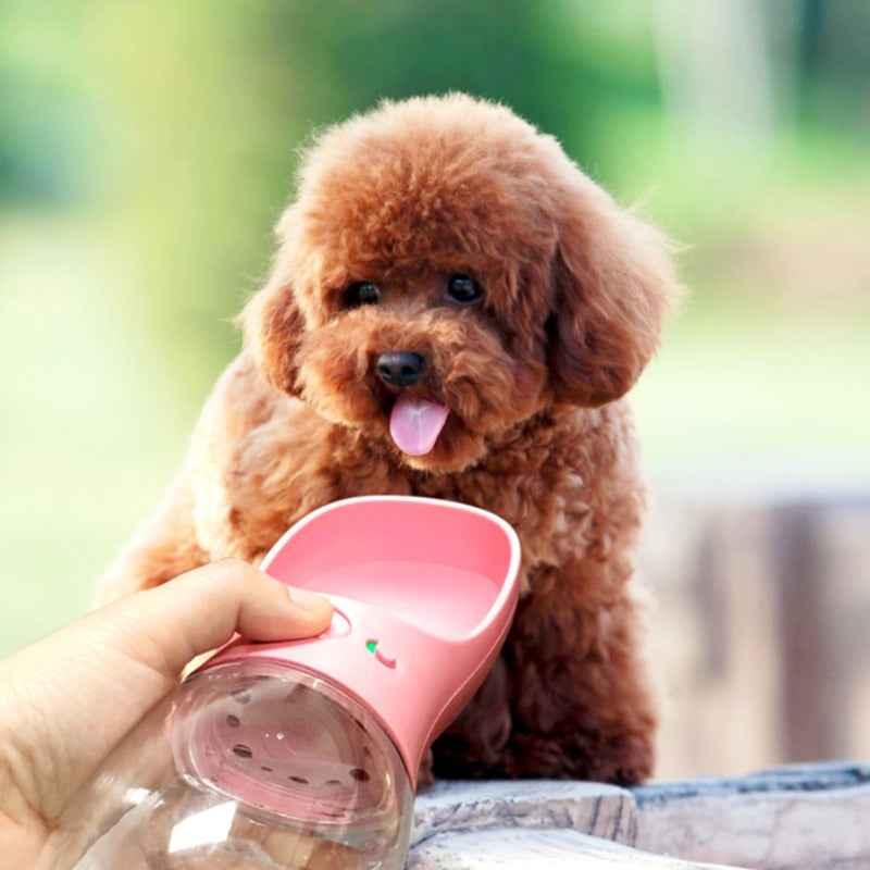 Foldable Dog Water Bottle