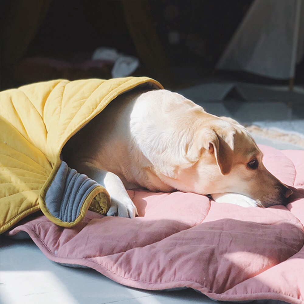 Dog Sleeping of Leaf Shaped Blanket
