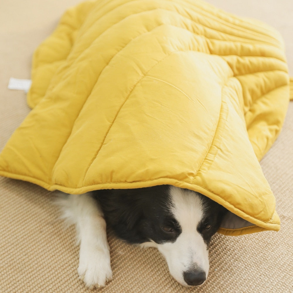 Dog covered in leaf shaped blanket 