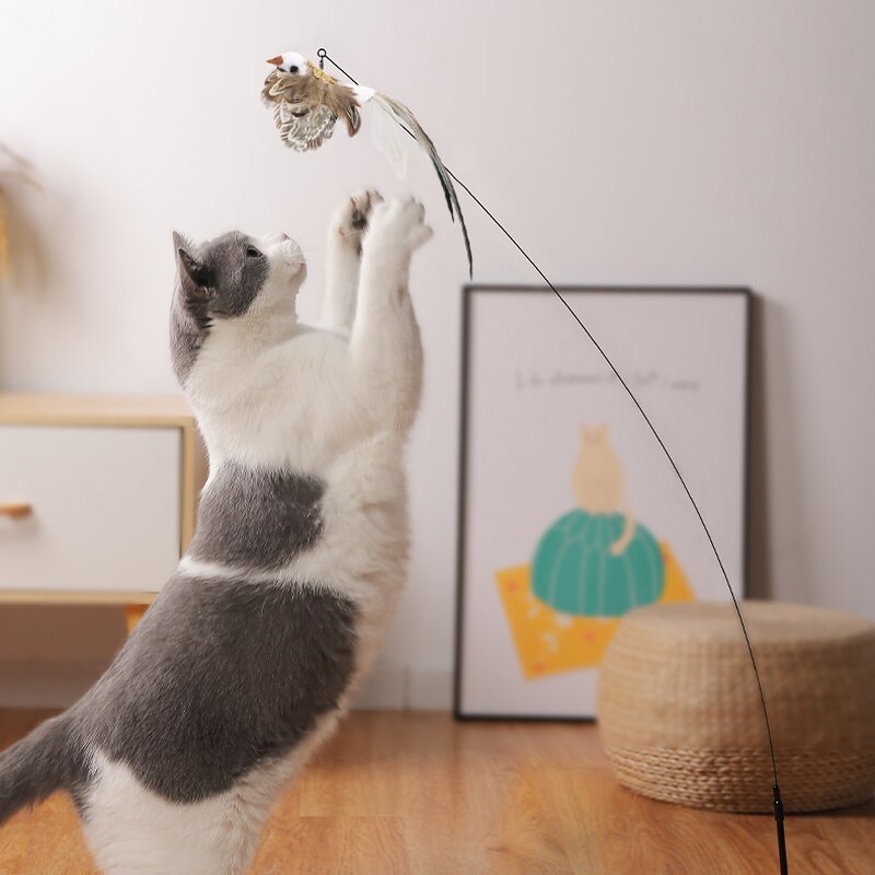 Interactive Bird Stimulation Cat Toy Set