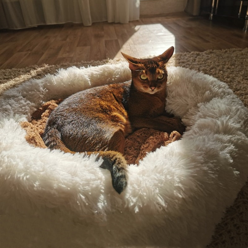 Pet Bed For All Breeds