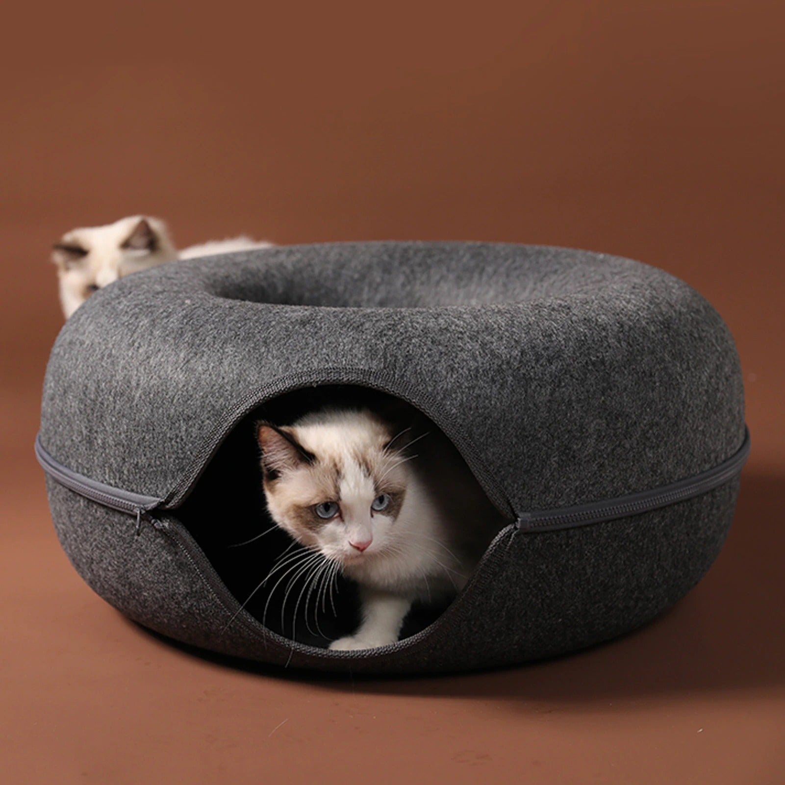 Hide and Seek Cover