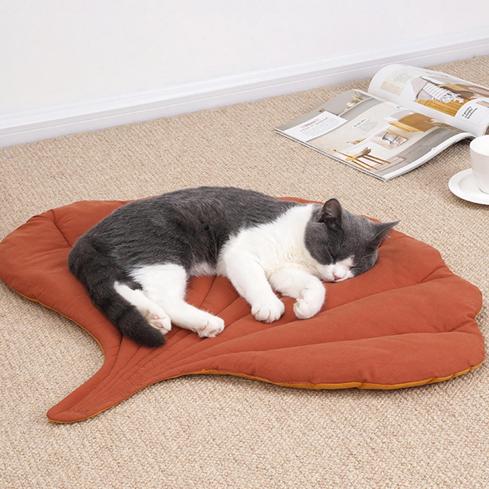 cat sleeping on dog shape leaf blanket 