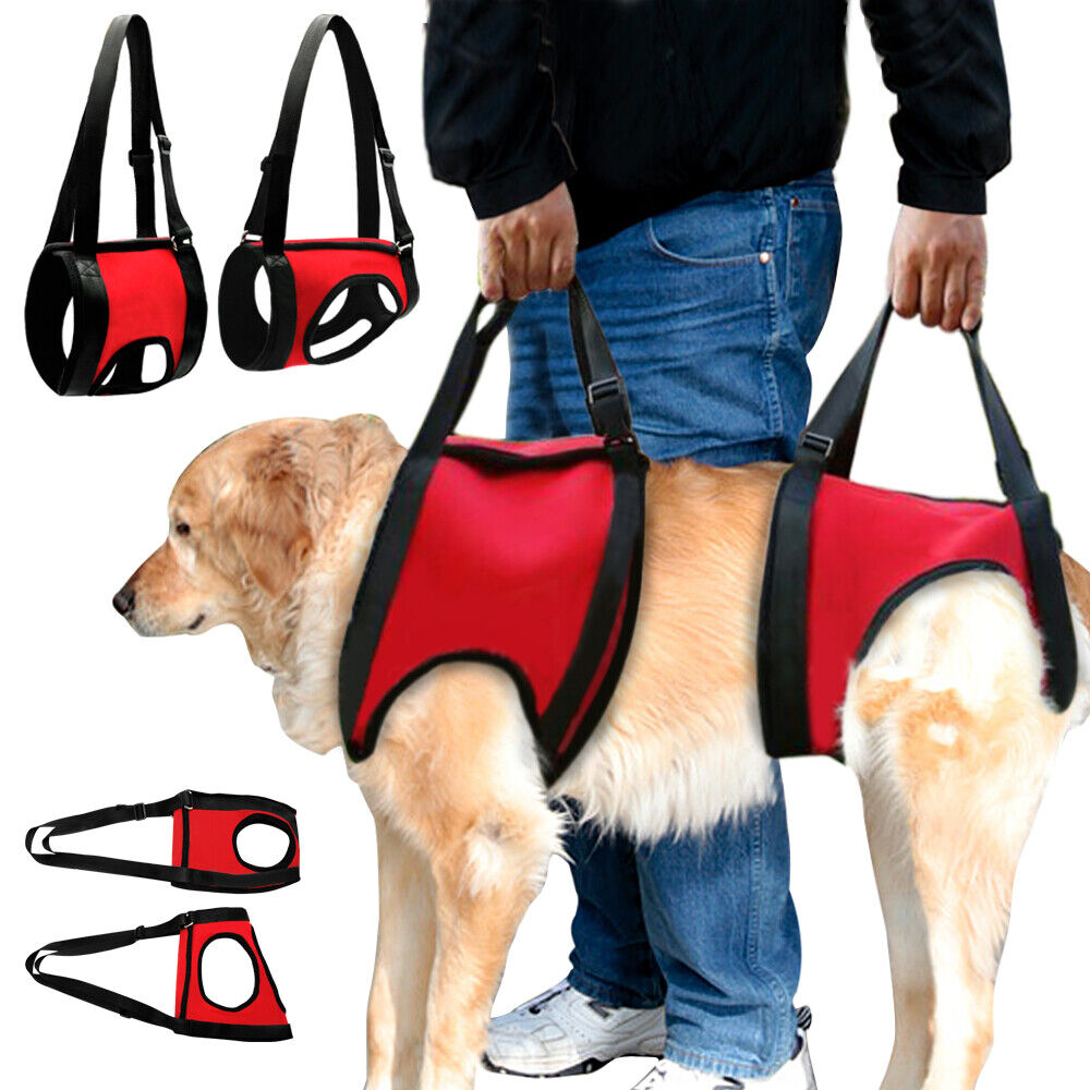 Emergency Dog Carrying Vest 